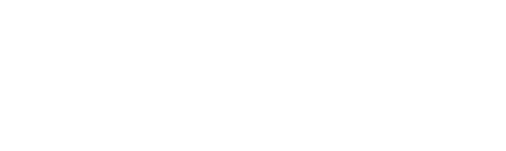 SEISSMIC